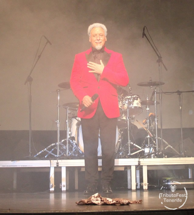 TRIBUTOFEST: Tom Jones 10.02.2024 - Auditorio Infanta Leonor